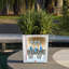 Moneak Planter Box-2032306924-2033258003
