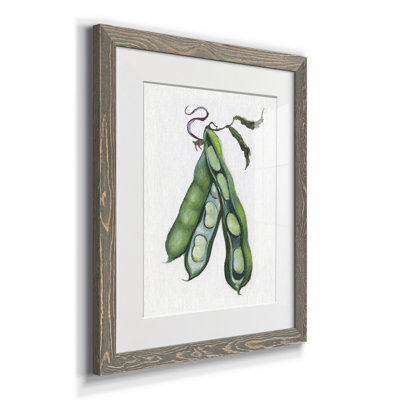 " Garden Fresh Peas " Painting Print