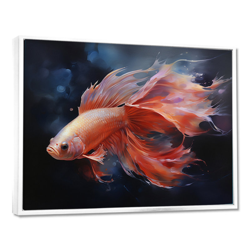 Vibrant rouge Betta poisson majestueux queue - poisson Art mural, H 12 po x l 20 po, Toile flottante blanche encadrée
