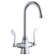 Pull Down Double Handle Kitchen Faucet With Deck Plate And Handles