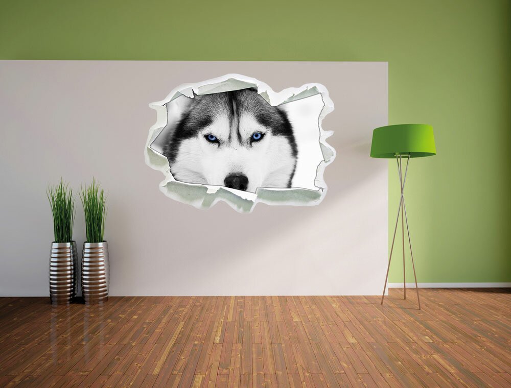 Wandtattoo Husky mit blauen Augen