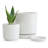 Set of 2 Modern Honeycomb Embossed Ceramic Planter Pots - 4" & 6" with Drainage Hole and Saucer