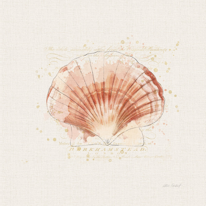 Coquille de collection IV, H 30 po x l 30 po x P 1,25 po