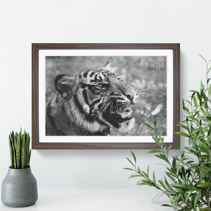 Tiger Vol.4 - Picture Frame Graphic Art, 27cm H x 36cm W x 2cm D, Walnut