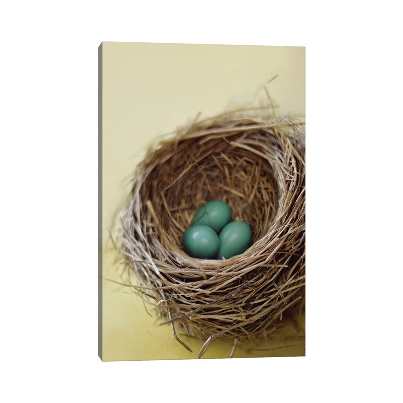 Nest by Mandy Lynne - Wrapped Canvas Print, 20.32 cm H x 30.48 cm W