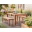 Dulcina Solid Wood Eucalyptus Outdoor Bench