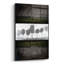 «Black Tree 2» par Lightbox Journal-1942775939