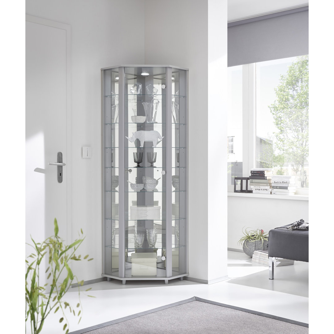 Frankmut Corner Curio Cabinet with Lighting