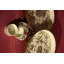Rosalind Wheeler Dows Ceramic Chips And Dip Platter