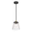 Mini-luminaire suspendu 1 lumière Lustra