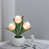 Rose est en rupture de stock