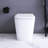 White Smart Toilet With Luminous Lighting