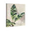 Jolies plantes I - Impression sur toile-77343993-77344000