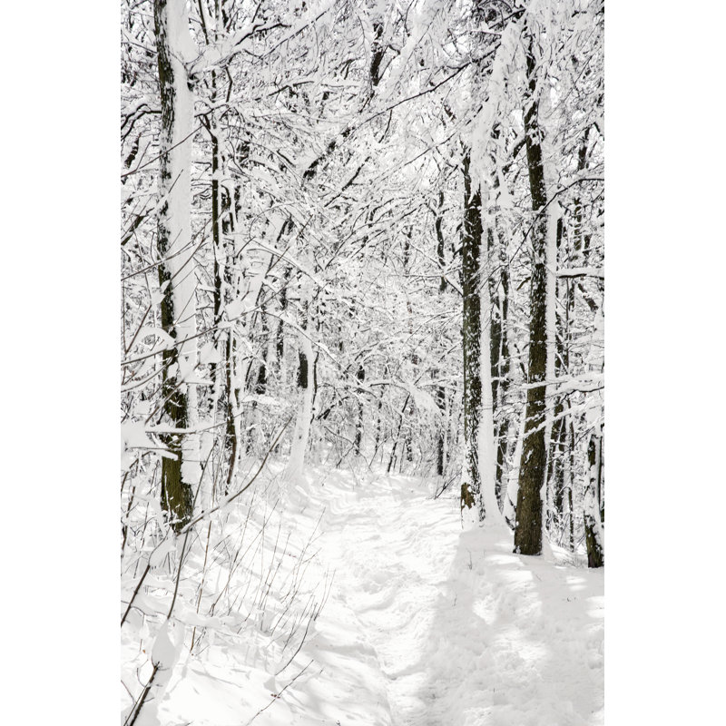 Snowy Forest by Vrabelpeter1 - Wrapped Canvas Print, 46cm H x 30cm W x 3.8cm D