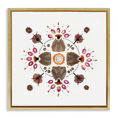 Cadre flottant de la collection Symmetical Nautical, design par Beth Adoette