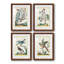 «Pastel Birds I», ensemble de 4 reproductions de cadres photo-1266957737-1266957738