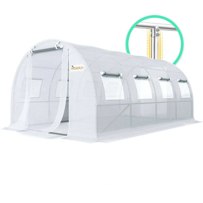 Grande serre de qualité supérieure pour l'extérieur 20 x 6,6 pi KING BIRD, cadre en acier galvanisé robuste, blanc