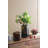 Aubreona Glass Table Vase