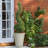 Rustic Style Rolled Rim Vase Planter-32389893-32389894