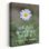 Fleurs sur fond de marguerite contemporaine abstraite sur terre