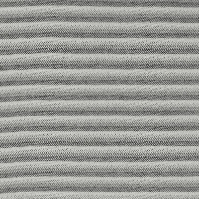Gris anthracite Baneberry