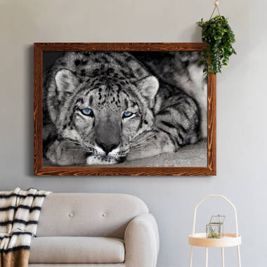 Leopard Face Detail Photograph Leopard Pictures Wall Decor Jungle