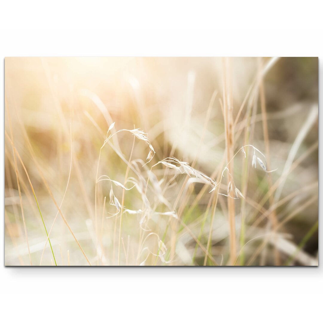 Leinwandbild Gras im Feld