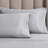 Tipton 1500 Thread Count Certified Egyptian Cotton Ultra-Luxury Pillowcase-22181885-44648853