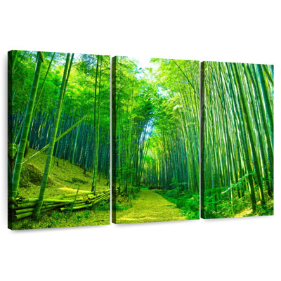 Sentier en bambou vert Alvord