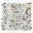 Marmor 12 x 12 Calacatta Gold Marble Polished Penny Round Mosaic Tile (5 Sq Ft/Case) - 5 Pack