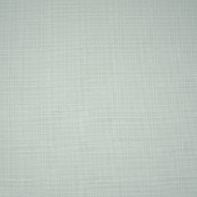 York Fabric