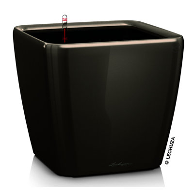 Quadro Premium Pot Planter