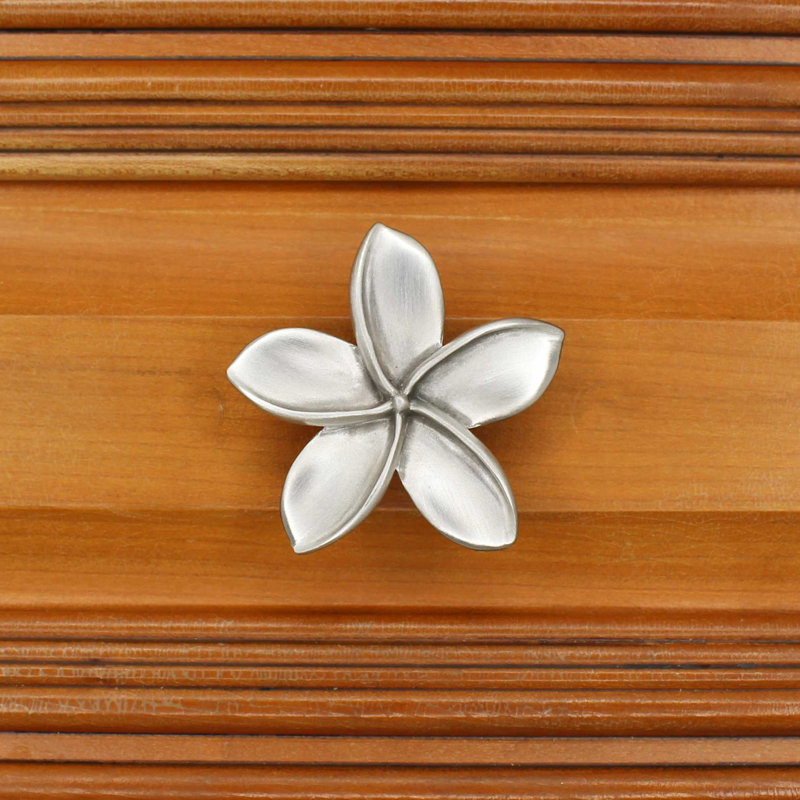 2" Plumeria Flower Medium Knob, Brushed Nickel, 2.5" L x 2.5" W, 1
