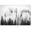 «Lungs Of The World», reproduction encadrée-2025421445-2025421496