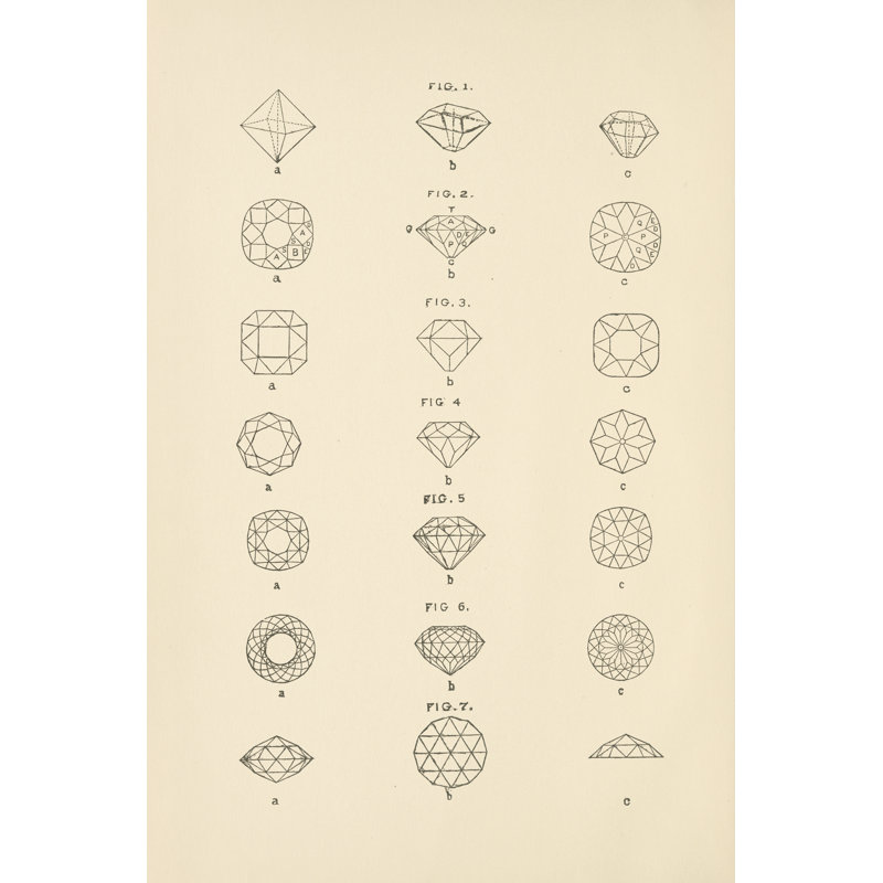 Precious Stones II by Wild Apple Porffolio - Wrapped Canvas Drawing Print, 122cm H x 81cm W
