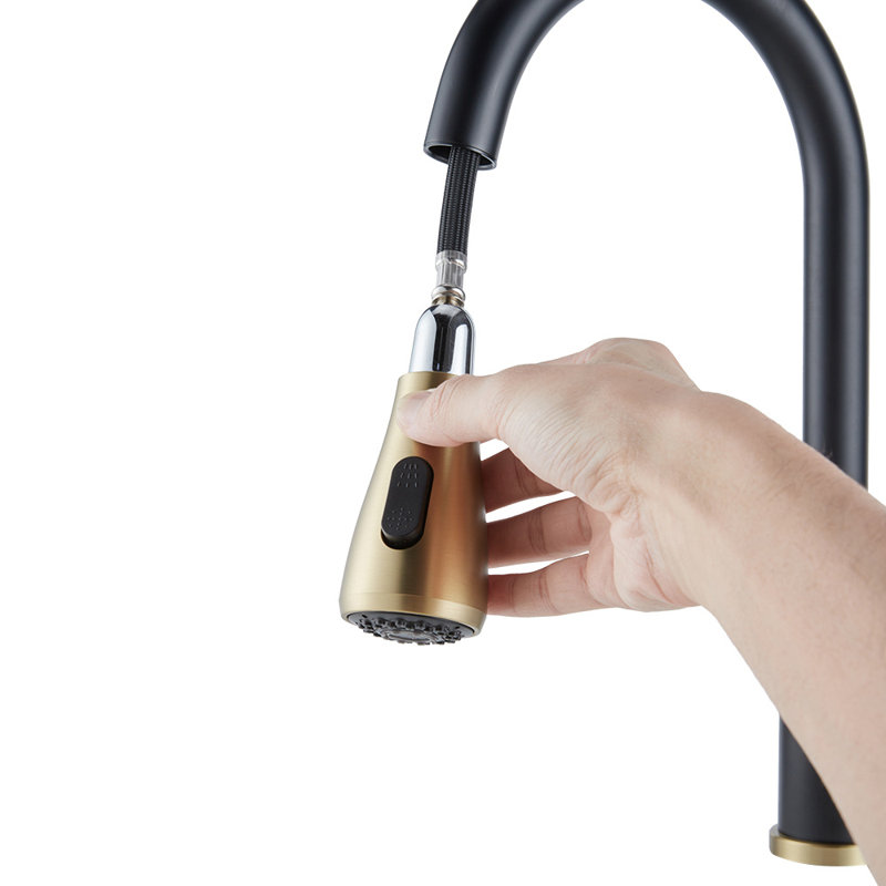 Belfry Kitchen Orin Kitchen Faucet, Matte Black/Gold