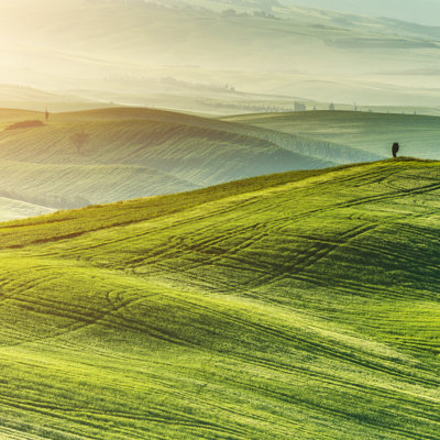 Typical Landscape From Tuscany by Gehringj
