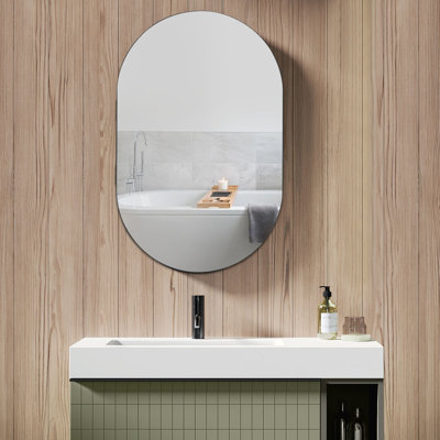 Bryton 19.76 " W X 30.82 " H Surface Yes Medicine Cabinet with Mirror