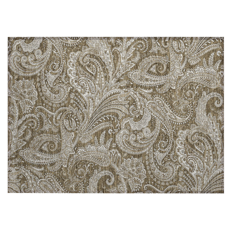 Cresley Paisley Indoor / Outdoor Rug