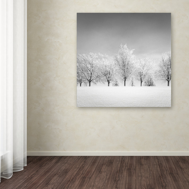 «Ice Storm» par Dave MacVicar - reproduction de photo sur toile tendue, H 24 po x l 24 po x P 2 po