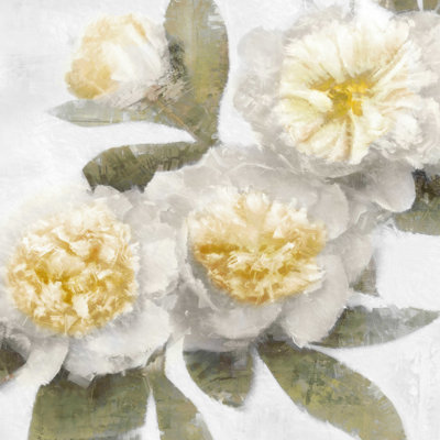 Motif floral blanc et jaune 1