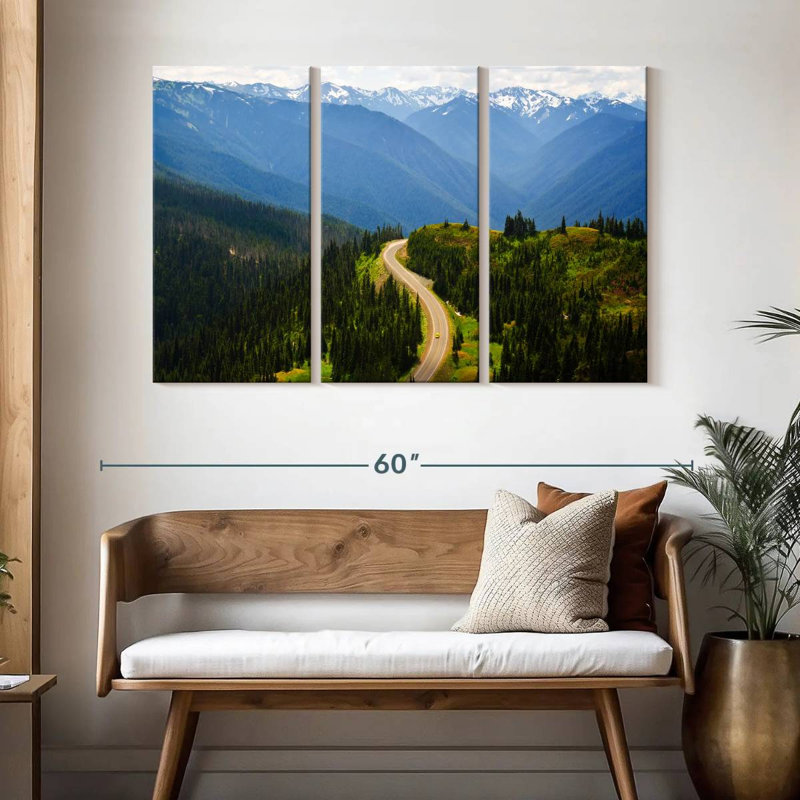 Route sinueuse à Hurricane Ridge, H 32 po x l 50 po