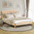 Upholstered Platform Bed-1198077237