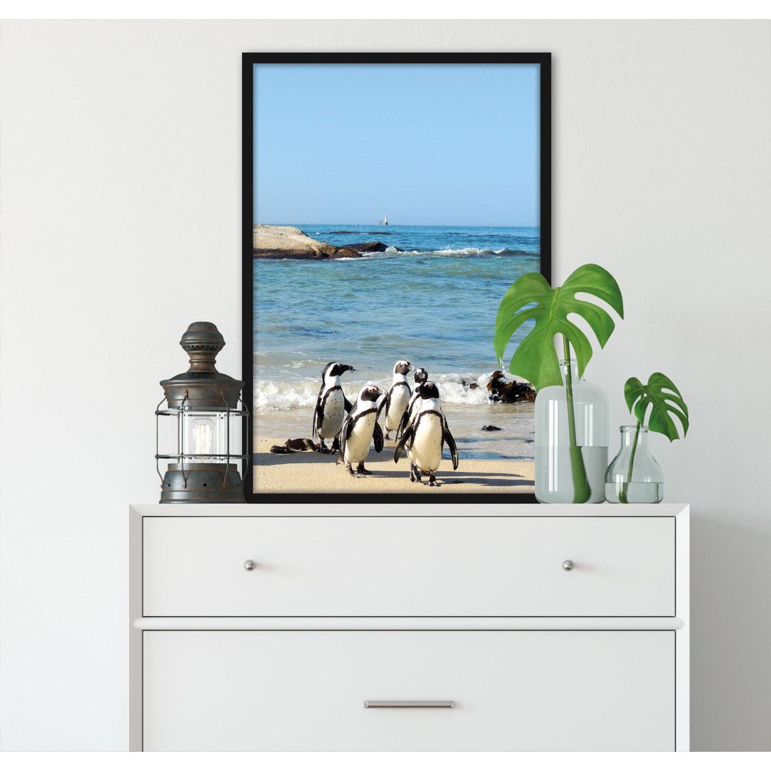 Pinguine Am Strand - Poster Im Rahmen