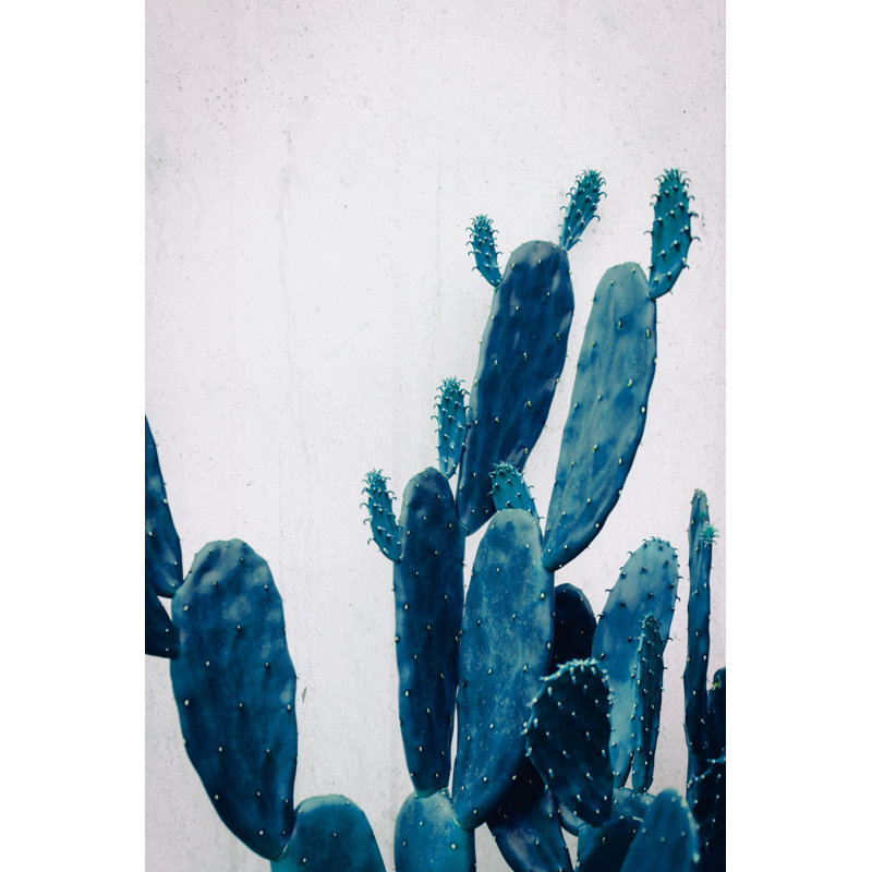 Cactus Colorful by Foryou13 - Wrapped Canvas Print, 122cm H x 81cm W x 3.8cm D