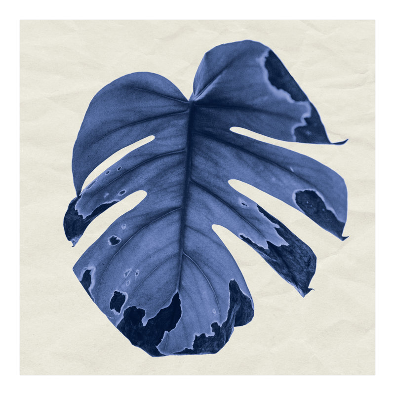 Leaf 1 - Wrapped Canvas Print, 30cm H x 30cm W x 3.8cm D