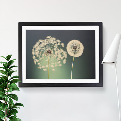 XH1022-10136X Wholesome Dandelion Flowers - Single Picture Frame Print