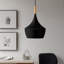 Luminaire suspendu noir 1 lumière