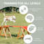 Agility Dog Walk