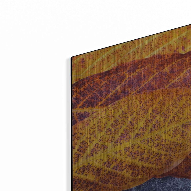 «Three Leaves» par Jan Bell, H 12 po x l 12 po